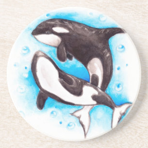 orca play coaster