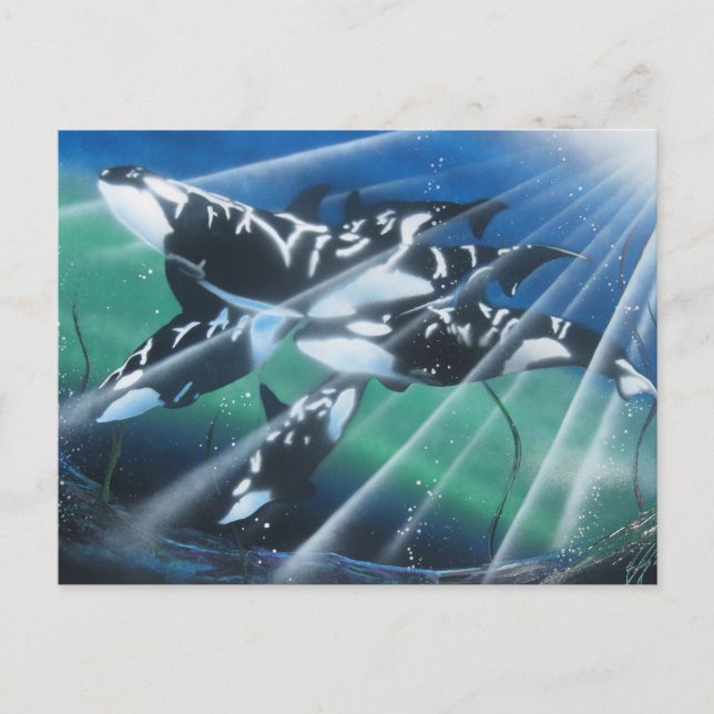 Orca Postcard (Front)