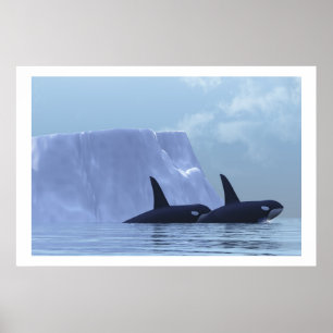 ORCA PRINT
