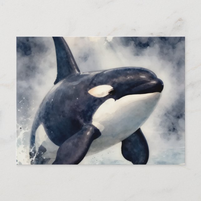 Orca Stormy waves Postcard (Front)