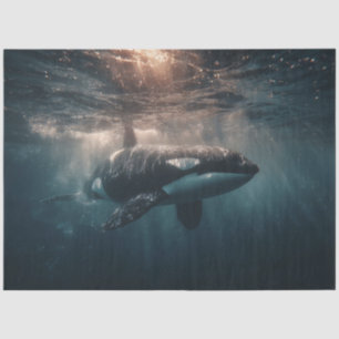 Orca Swimming in Deep Water Tissue Paper