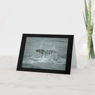 Orca Tail Slap Greeting Card