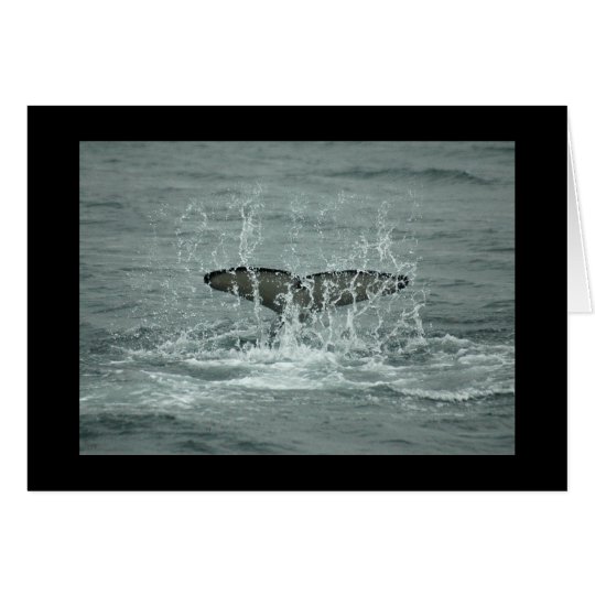 Orca Tail Slap Greeting Card