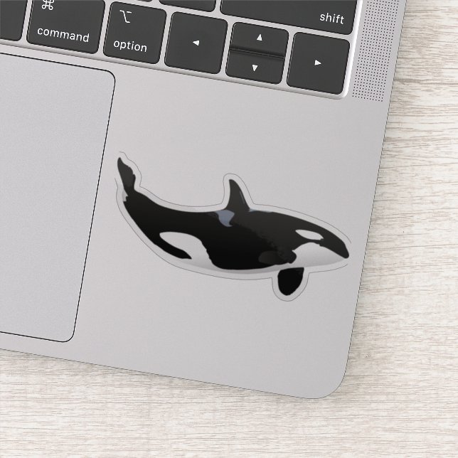 Orca Whale (Detail)
