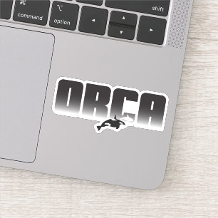 Orca Whale