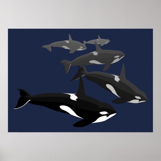 Orca Whale Art Poster Killer Whale Art Prints Gift (Front)