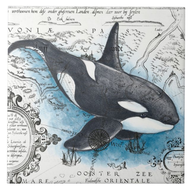 Orca Whale Blue Watercolor Nautical Map Tile (Front)