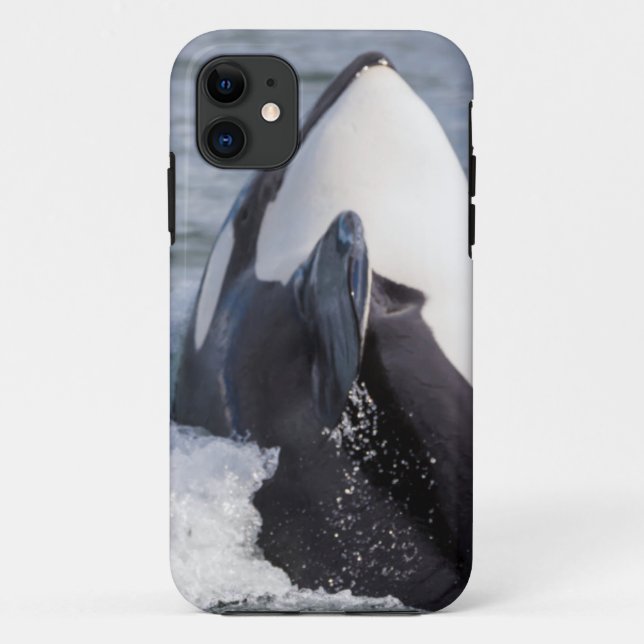 Orca whale breaching Case-Mate iPhone case (Back)