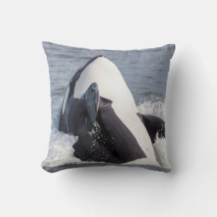 Orca whale breaching cushion