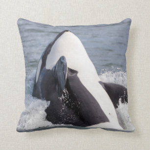 Orca whale breaching cushion