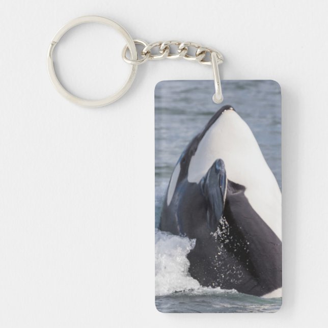 Orca whale breaching key ring (Front)
