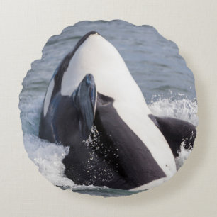 Orca whale breaching round cushion