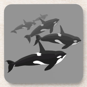 Orca Whale Coasters Killer Whale Art Drink Coaster