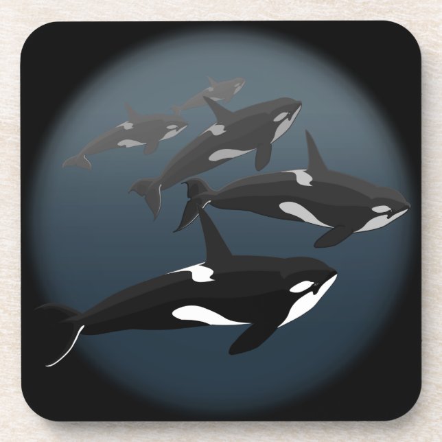 Orca Whale Coasters Killer Whale Art Drink Coaster (Front)