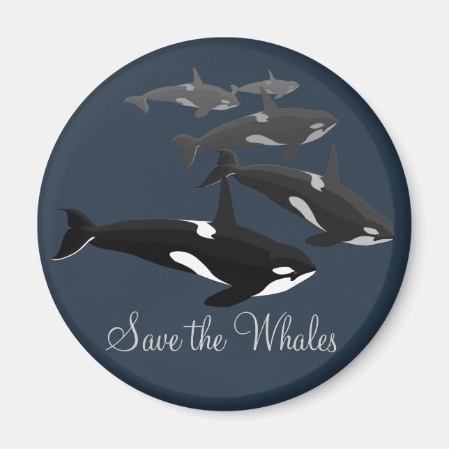 Orca Whale Fridge Magnet Killer Whale Art Magnets (Front)