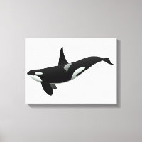 Orca whale illustration - Choose background colour