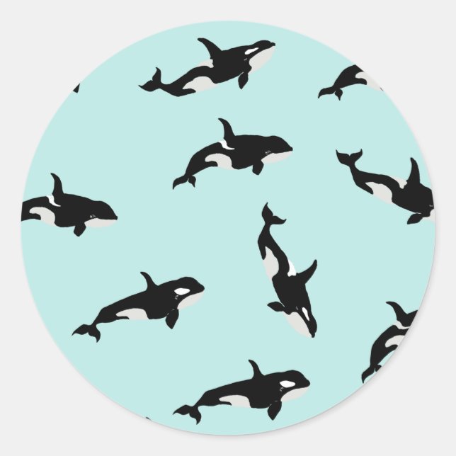 Orca Whale Illustration Pod Pattern Sea Baby Blue Classic Round Sticker (Front)