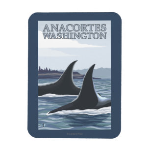 Orca Whales #1 - Anacortes, Washington Magnet