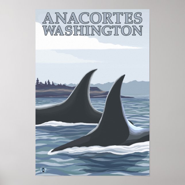 Orca Whales #1 - Anacortes, Washington Poster (Front)