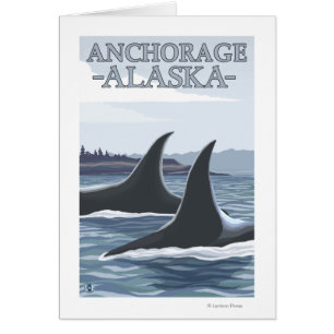 Orca Whales #1 - Anchorage, Alaska