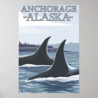 Orca Whales #1 - Anchorage, Alaska