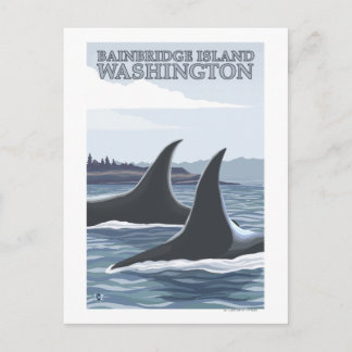 Orca Whales #1 - Bainbridge Island, Washington Postcard
