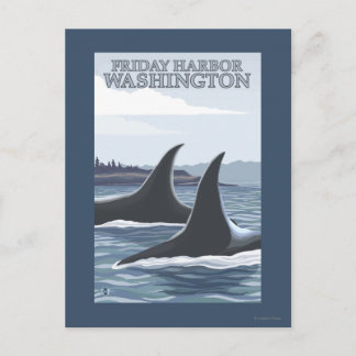 Orca Whales #1 - Friday Harbour, Washington Postcard