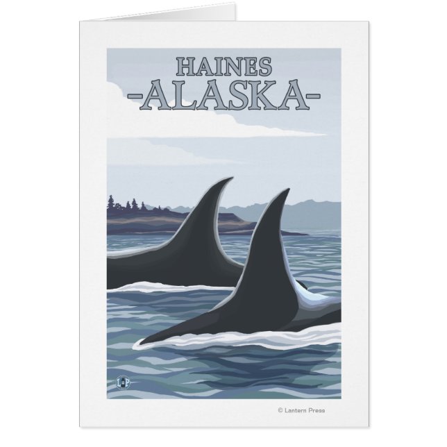 Orca Whales #1 - Haines, Alaska (Front)