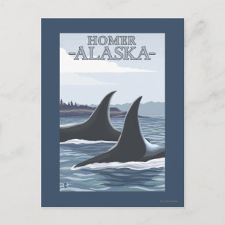Orca Whales #1 - Homer, Alaska Postcard