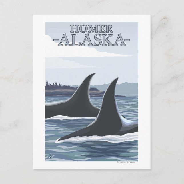 Orca Whales #1 - Homer, Alaska Postcard (Front)