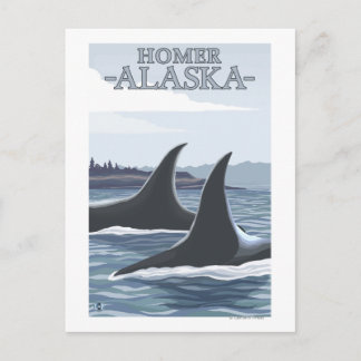 Orca Whales #1 - Homer, Alaska Postcard