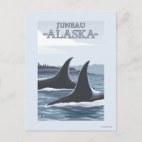 Orca Whales #1 - Juneau, Alaska