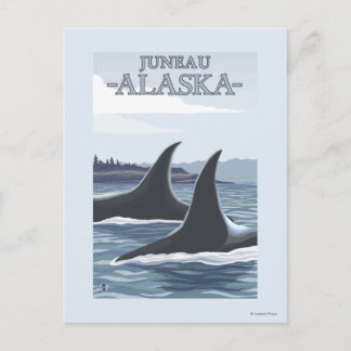Orca Whales #1 - Juneau, Alaska Postcard