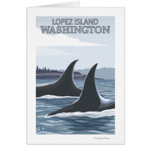 Orca Whales #1 - Lopez, Washington