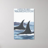 Orca Whales #1 - Lopez, Washington
