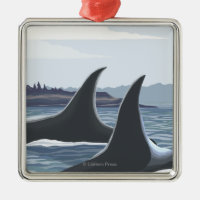 Orca Whales #1 - Lopez, Washington