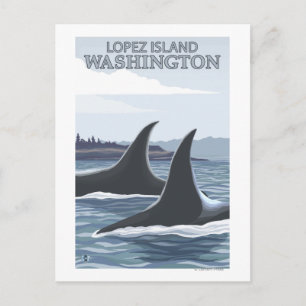 Orca Whales #1 - Lopez, Washington Postcard