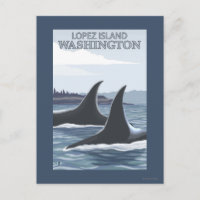 Orca Whales #1 - Lopez, Washington