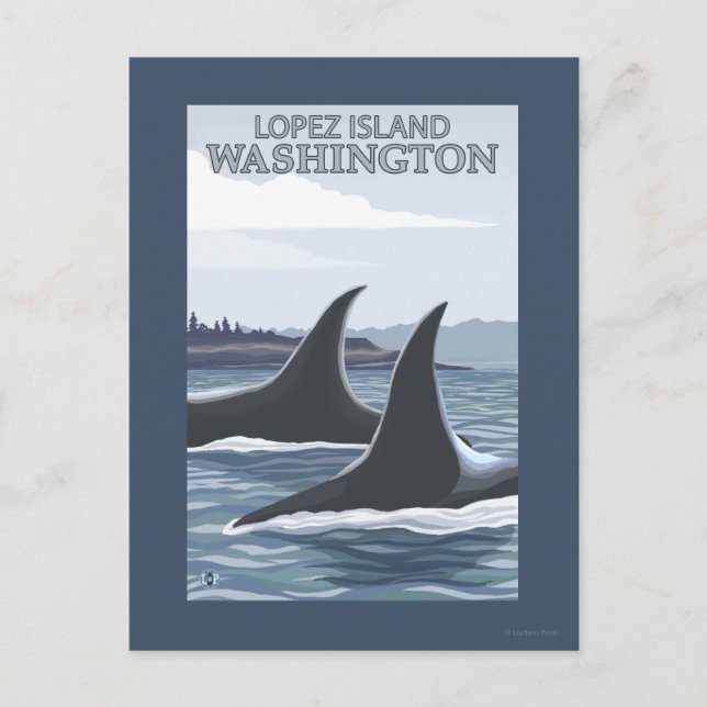 Orca Whales #1 - Lopez, Washington Postcard (Front)