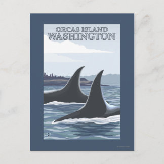 Orca Whales #1 - Orcas Island, Washington Postcard