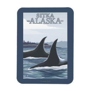 Orca Whales #1 - Sitka, Alaska Magnet