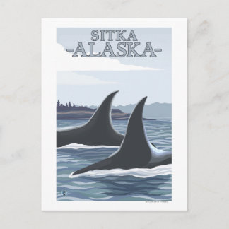 Orca Whales #1 - Sitka, Alaska Postcard
