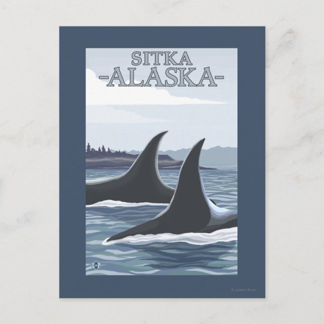 Orca Whales #1 - Sitka, Alaska Postcard (Front)