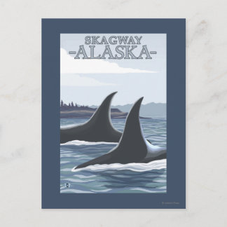 Orca Whales #1 - Skagway, Alaska Postcard