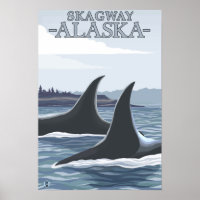 Orca Whales #1 - Skagway, Alaska