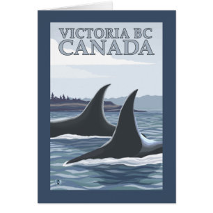 Orca Whales #1 - Victoria, BC Canada