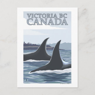 Orca Whales #1 - Victoria, BC Canada Postcard