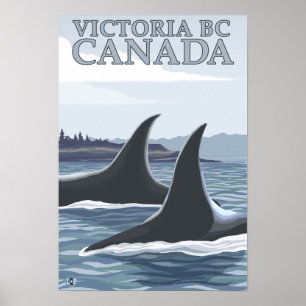 Orca Whales #1 - Victoria, BC Canada Poster