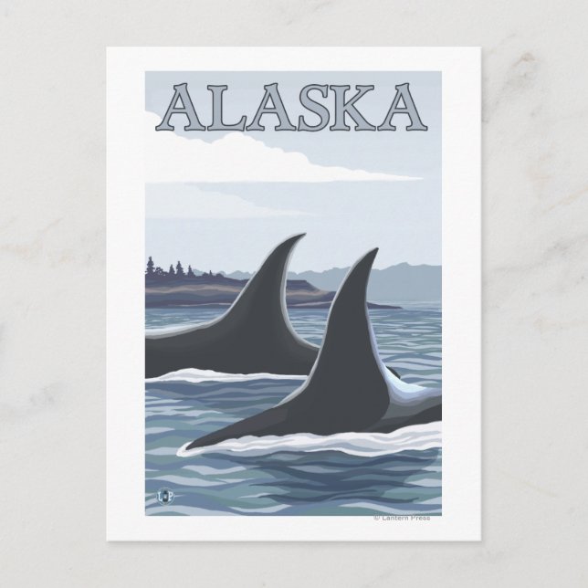Orca Whales #1- Vintage Travel Poster Postcard (Front)