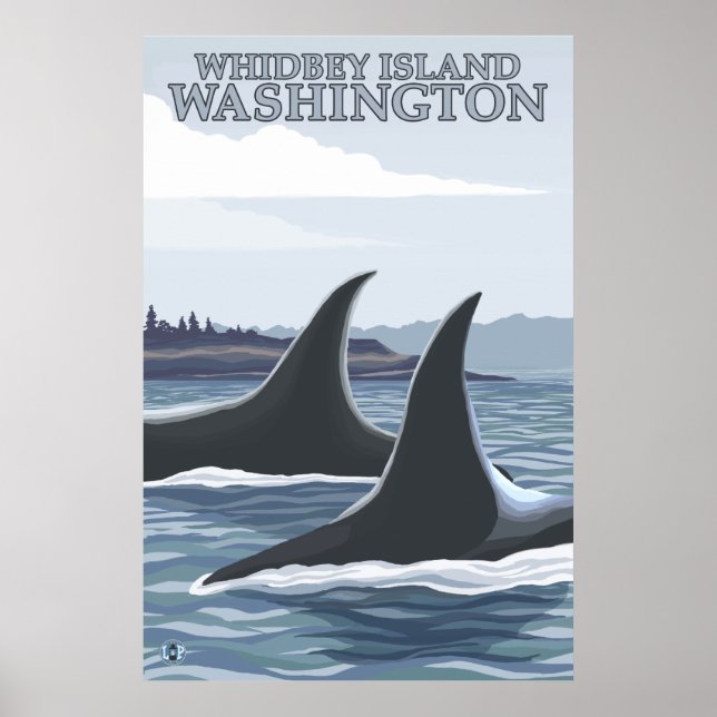 Orca Whales #1 - Whidbey, Washington Poster (Front)